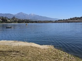 Enlarge photo 80