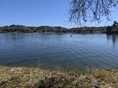 Enlarge photo 81