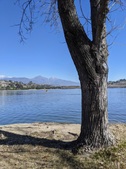 Enlarge photo 82