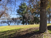 Enlarge photo 91