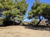 Enlarge photo 92