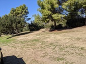 Enlarge photo 93