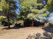 Enlarge photo 95