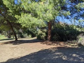 Enlarge photo 97