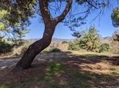 Enlarge photo 98