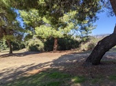 Enlarge photo 99