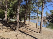 Enlarge photo 106
