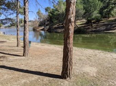 Enlarge photo 107
