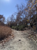 Enlarge photo 108