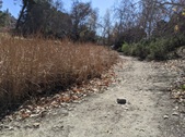 Enlarge photo 109
