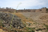 Enlarge photo 39