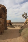 Enlarge photo 31