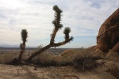 Enlarge photo 33