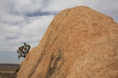 Enlarge photo 34