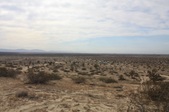 Enlarge photo 37