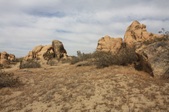Enlarge photo 40