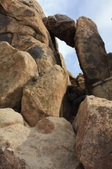 Enlarge photo 41