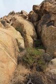 Enlarge photo 43