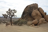 Enlarge photo 45