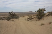 Enlarge photo 46
