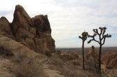 Enlarge photo 47