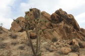 Enlarge photo 49
