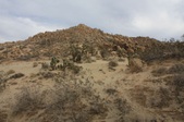 Enlarge photo 50