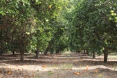 Enlarge photo 33