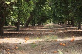 Enlarge photo 34