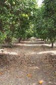 Enlarge photo 35