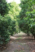Enlarge photo 37