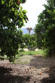 Enlarge photo 38