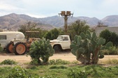 Enlarge photo 39