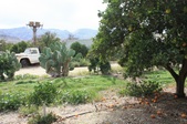 Enlarge photo 40