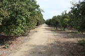 Enlarge photo 41