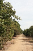 Enlarge photo 42