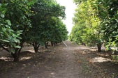 Enlarge photo 43