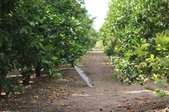 Enlarge photo 44
