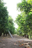 Enlarge photo 47