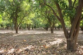 Enlarge photo 49