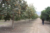 Enlarge photo 50