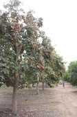 Enlarge photo 51