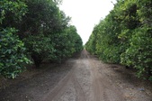 Enlarge photo 53