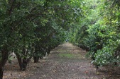 Enlarge photo 54