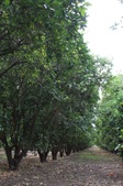 Enlarge photo 55