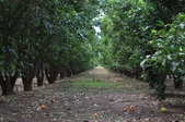 Enlarge photo 56