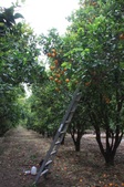 Enlarge photo 57