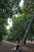 Enlarge photo 58