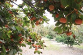 Enlarge photo 66
