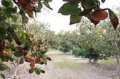 Enlarge photo 67